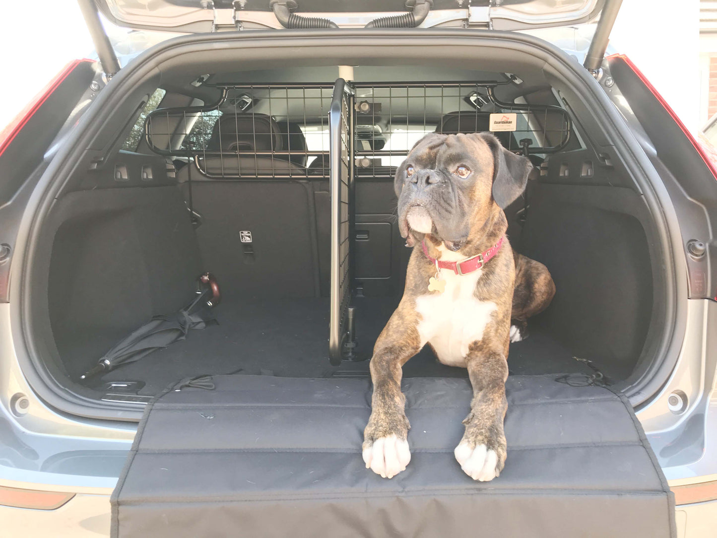 Lastskydd / Lastgaller med Tillval Fördelare Volvo V60