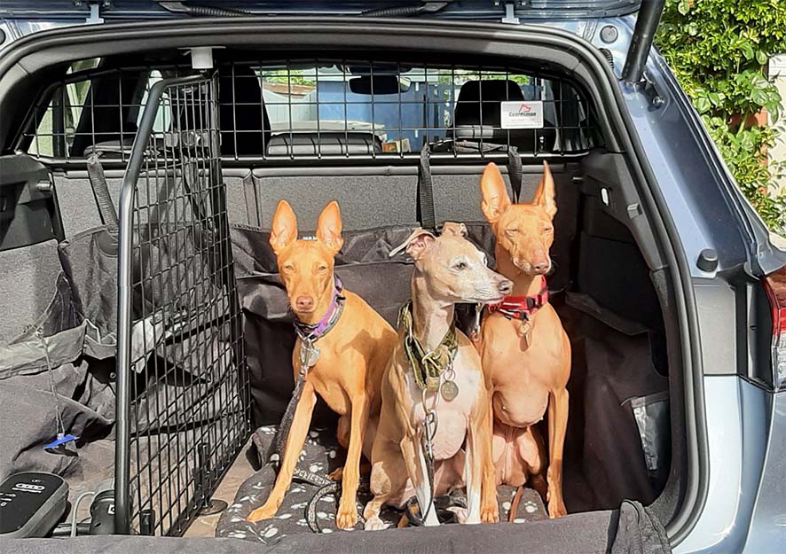 Load Guard / Load Grid with optional Load Divider Audi Q4 E-Tron