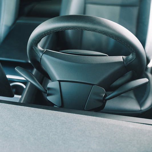 S3XY Stalks Tesla Model 3 Highland - FYND