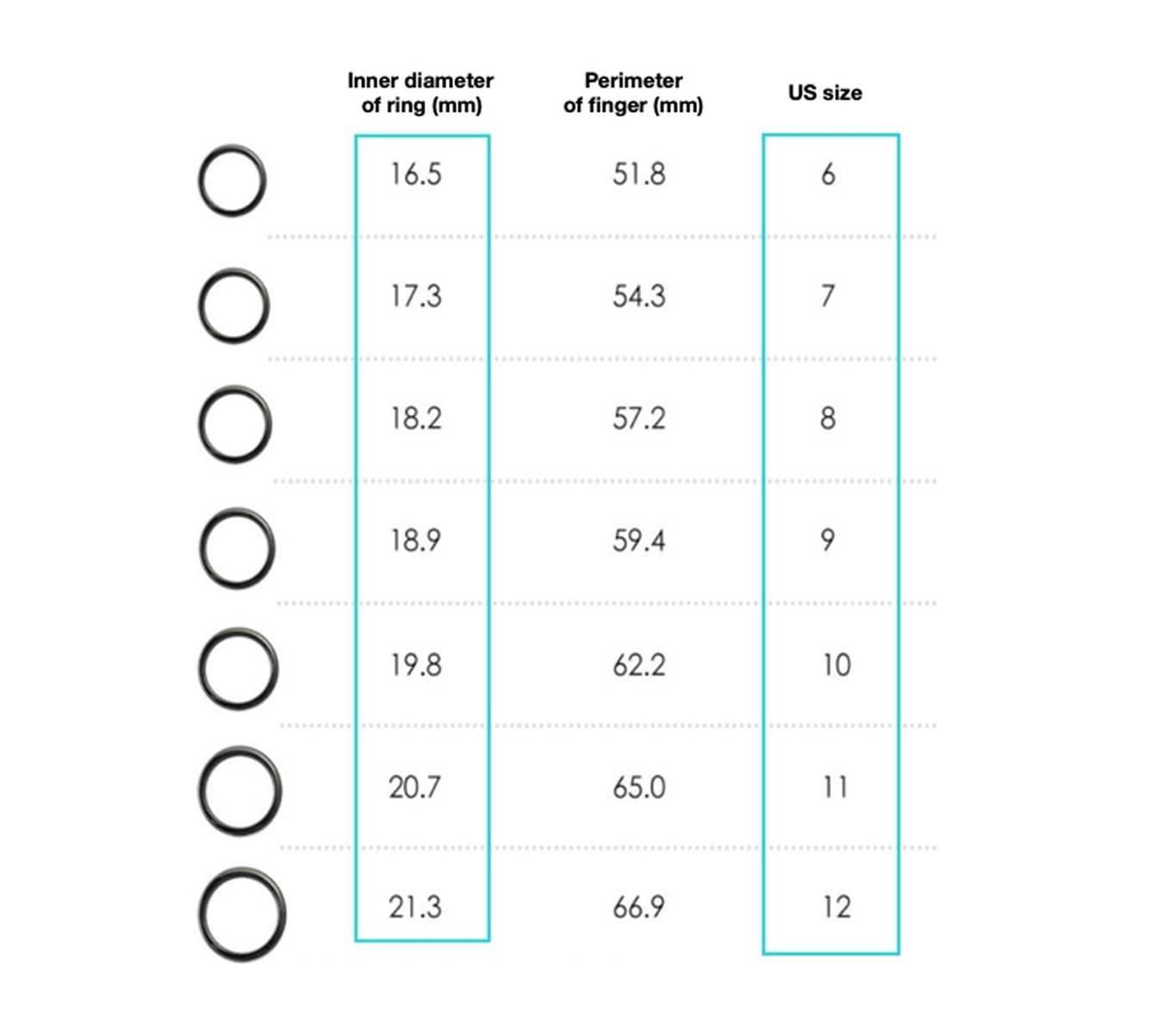 Smart Ring / Key Tesla Model 3 & Y