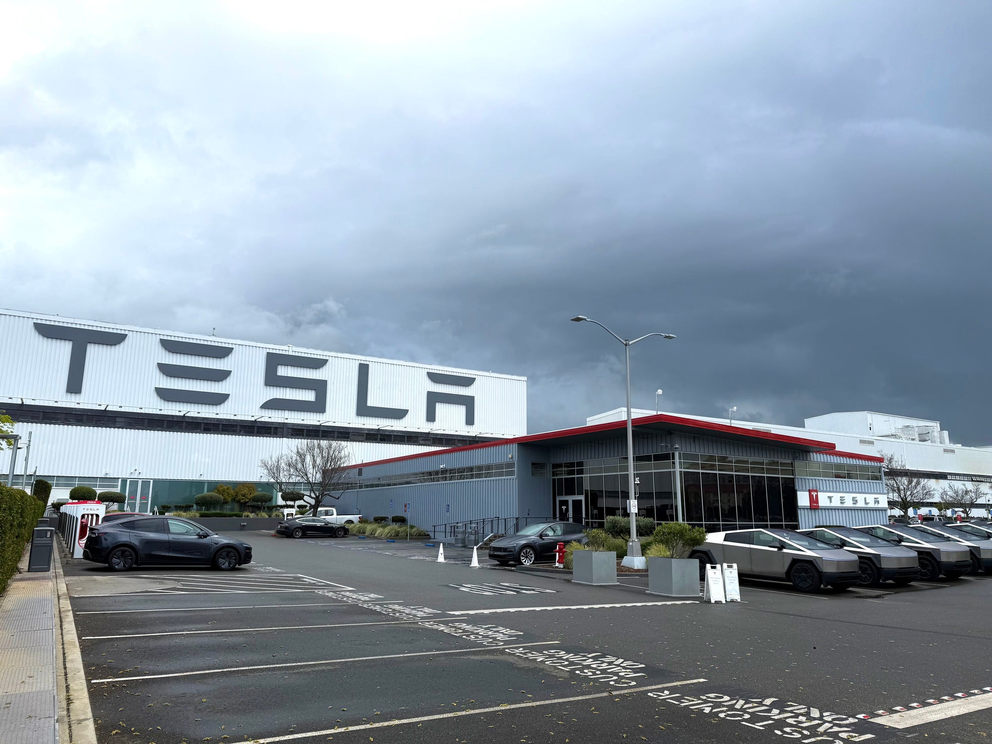 Nya Tesla Model Y Performance