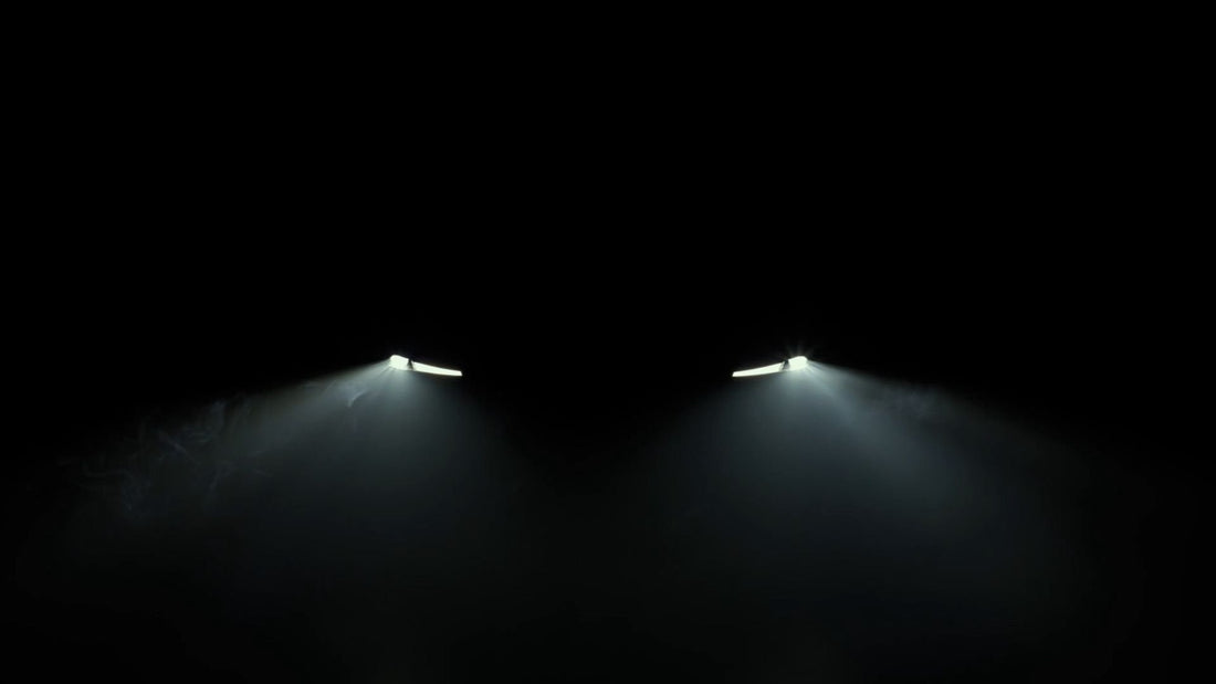 Tesla Model Y Standard