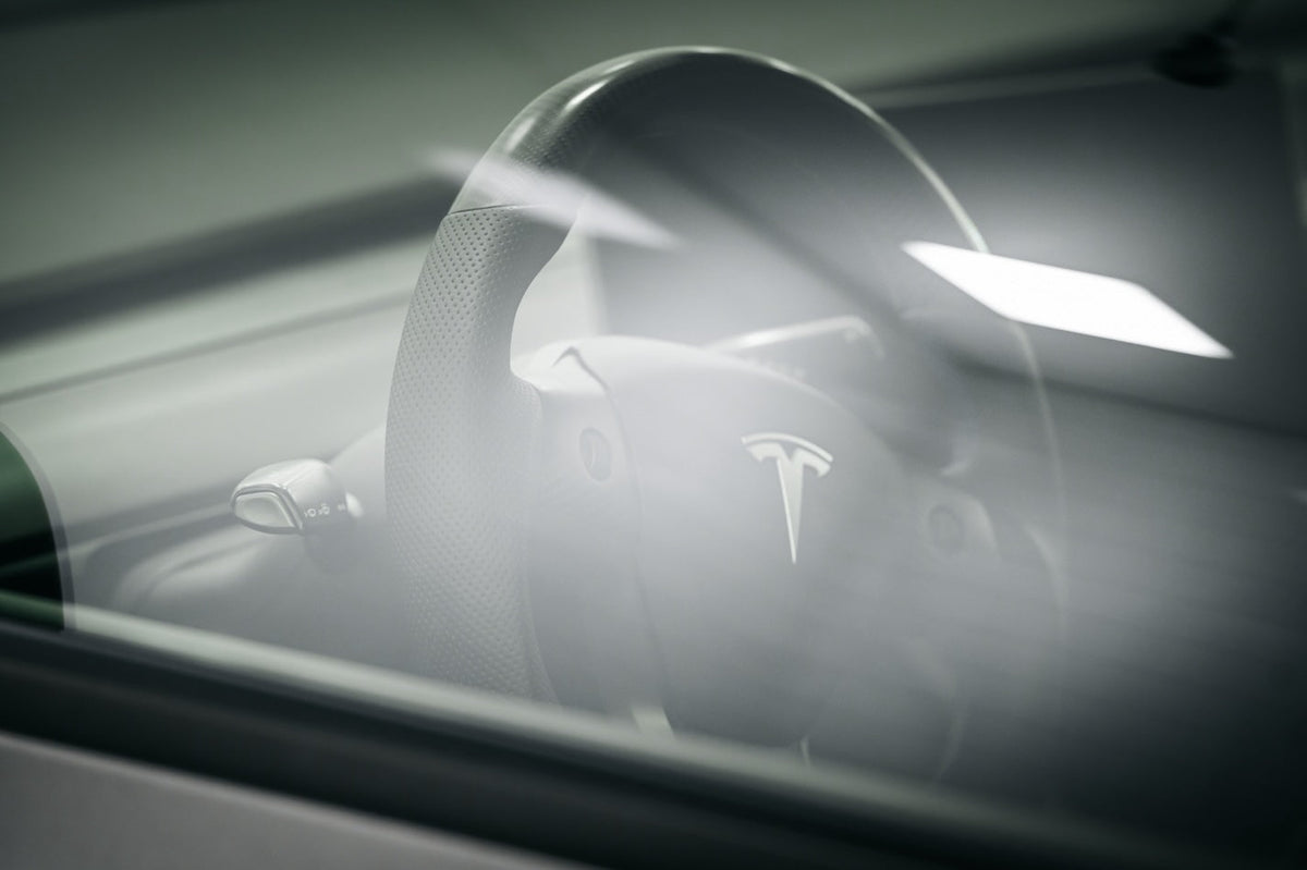 Tesla service