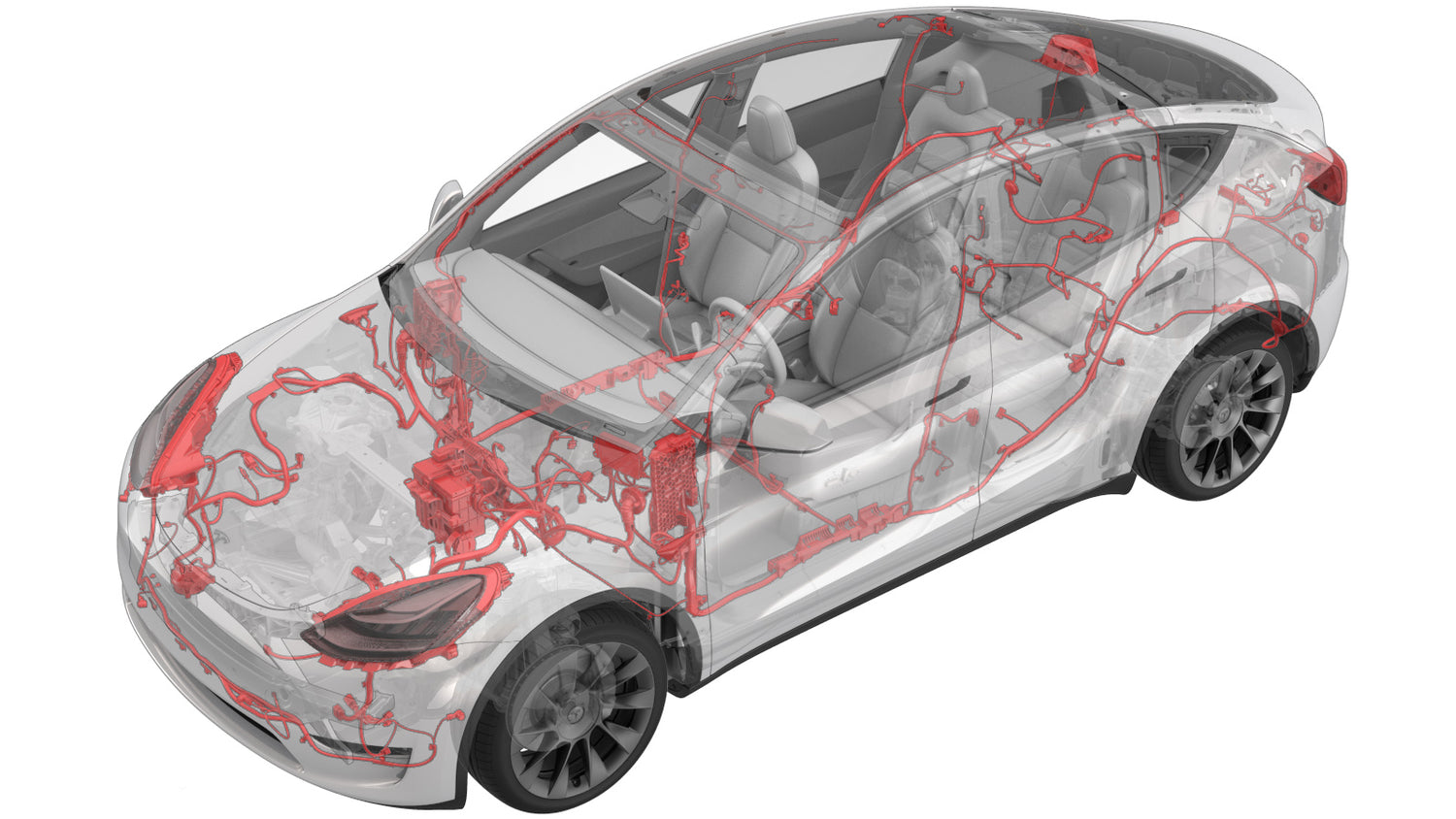 Model Y 17 - ELECTRICAL