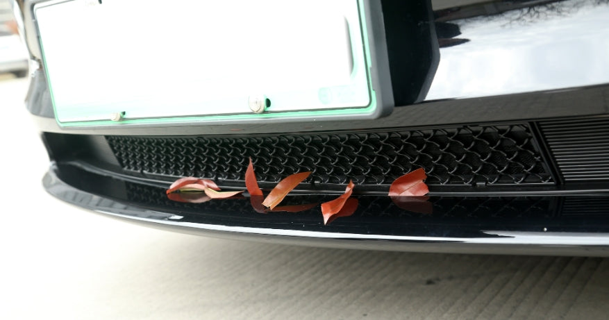 Skyddsnät fram Tesla Model 3 Highland