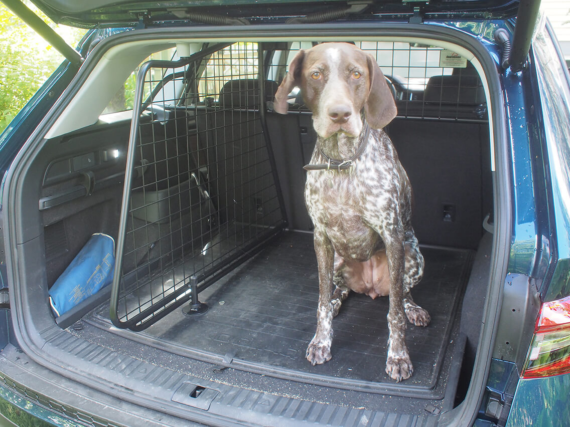 Lastskydd / Lastgaller med Tillval Fördelare Skoda Kodiaq 2017-2024