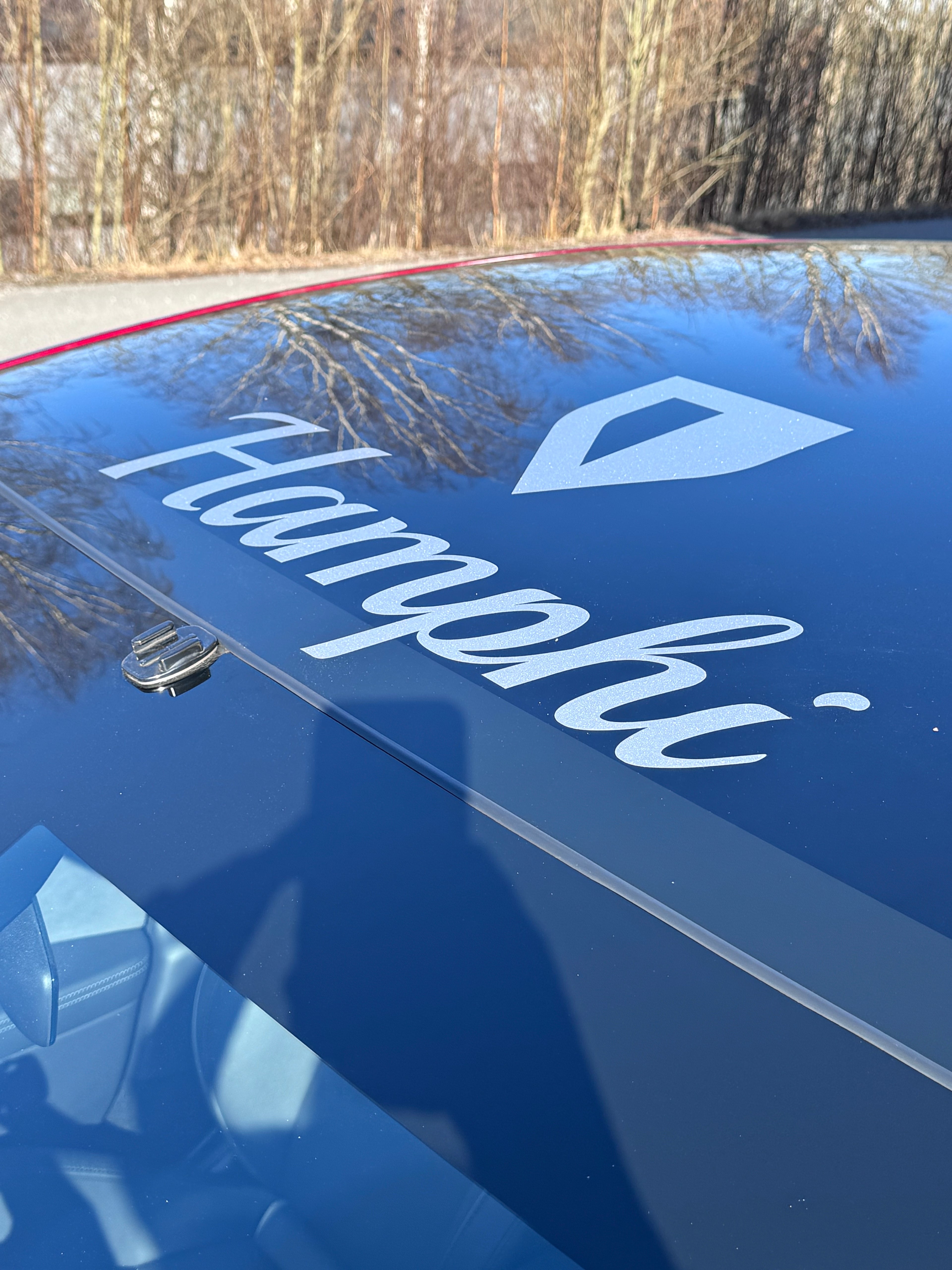 Roof Trim - T-Profile (Model S, 3, X & Y)