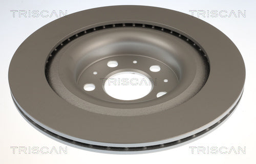 Bromsskiva Bak, Coated - Tesla Model Y