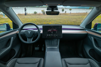 S3XY Strip Tesla Model Y/3