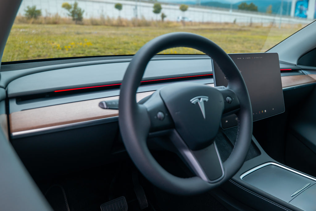 S3XY Strip Tesla Model Y/3