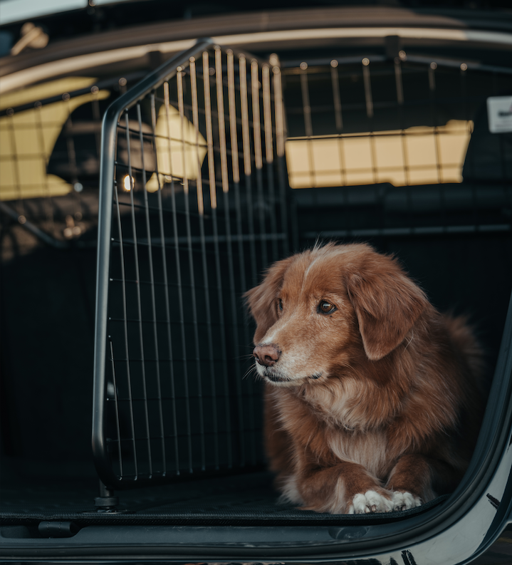 Tesla Model Y lastskyddsfördelare till lastgaller