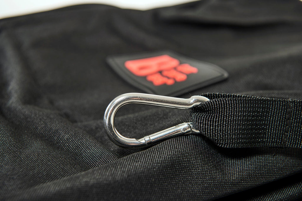 Transporttaske til ski CarCareBag