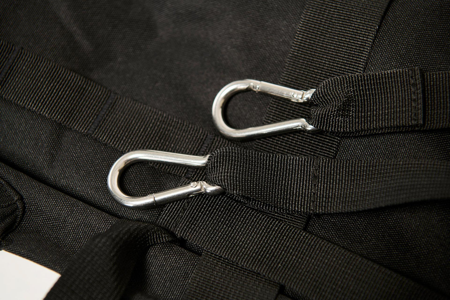 Transport bag skis CarCareBag