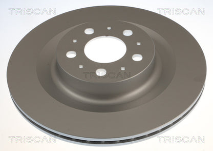 Bromsskiva Bak, Coated - Tesla Model Y