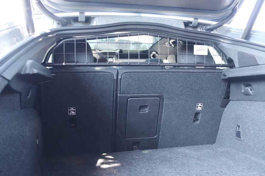 Lastskydd / Lastgaller med Tillval Fördelare Polestar 2