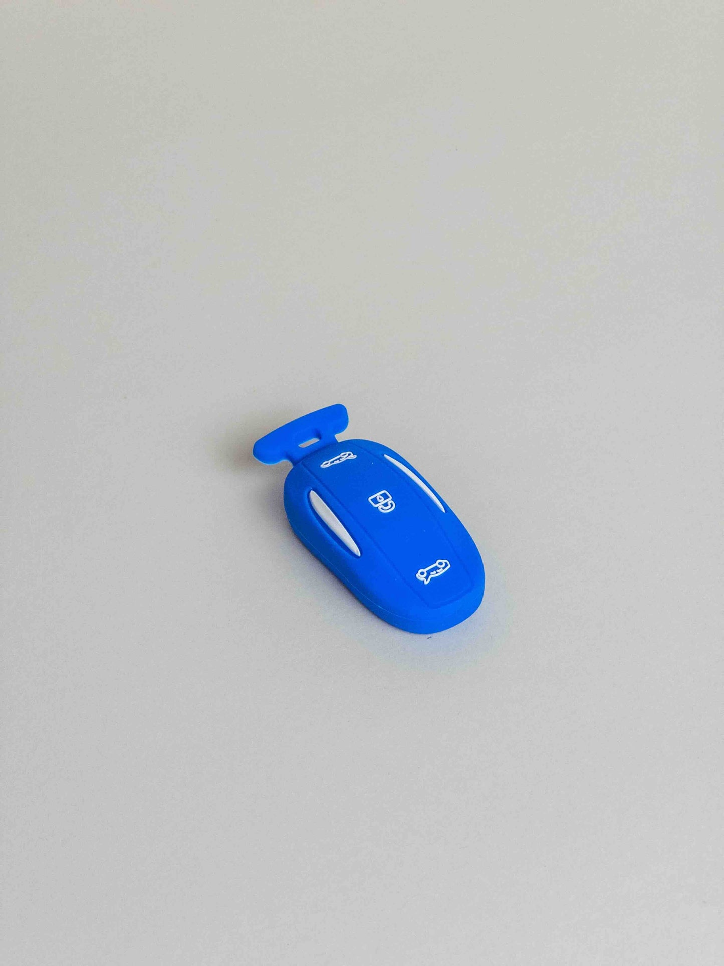 Model X keyfob protection in many colors