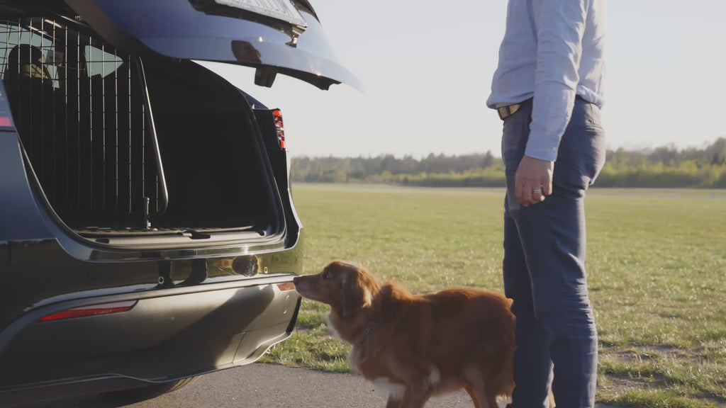 Lastskydd / Lastgaller med tillval Fördelare Tesla Model Y
