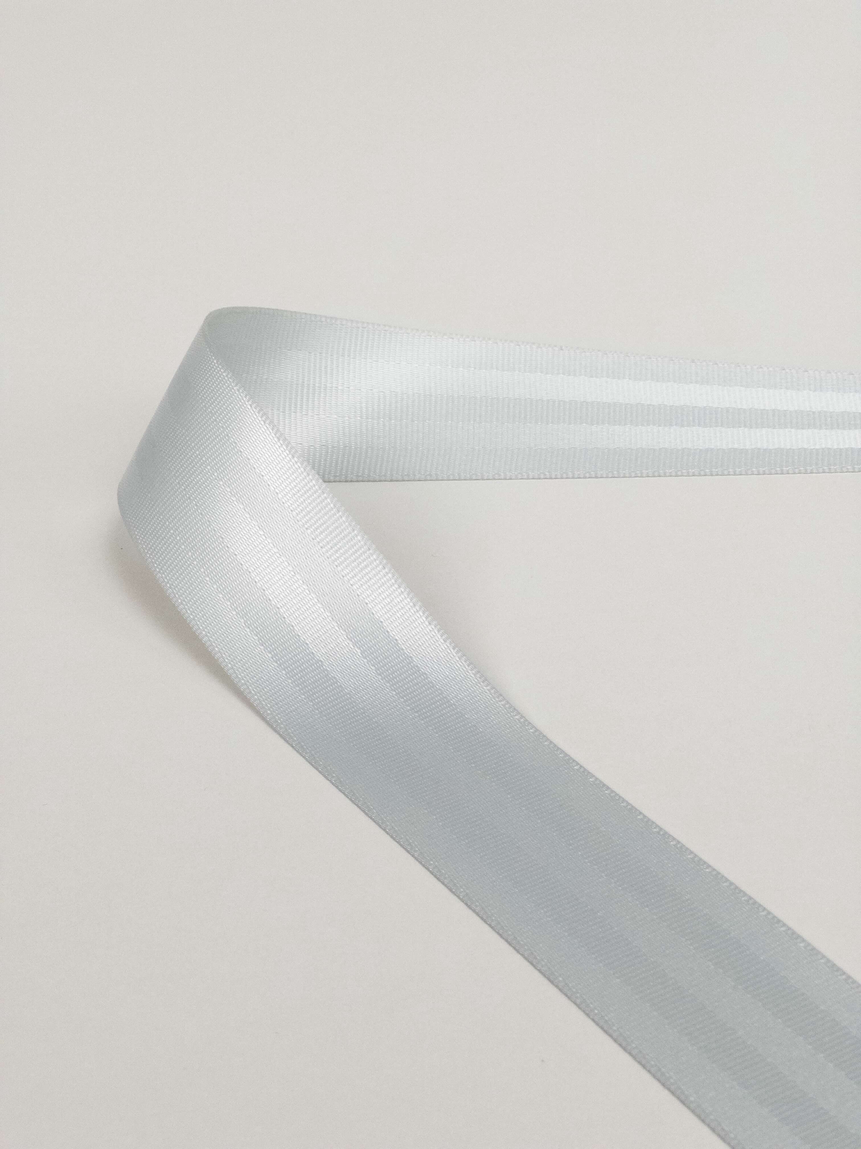 Silvriga Säkerhetsbälten