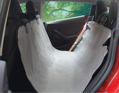 Protection mat Tesla Model S, 3 & Y