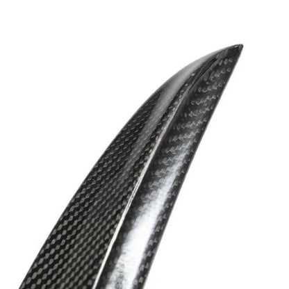 Model 3 Spoiler carbon fiber matt