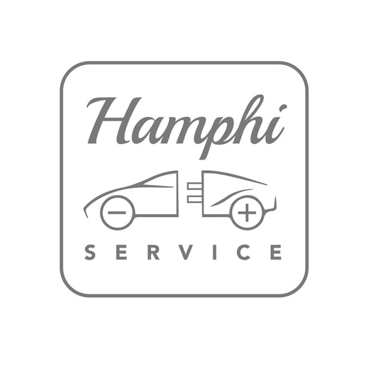 Årlig Hamphi service