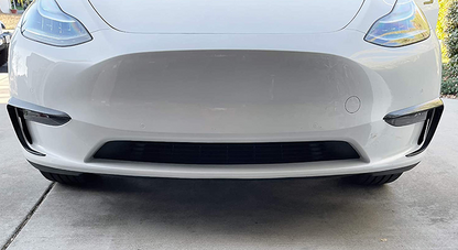 Model Y eyelashes