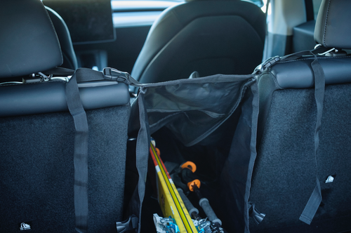 Bæreveske for ski CarCareBag