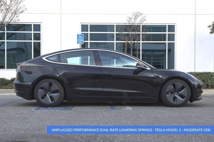 Sänknings-/komfort-fjädrar Unplugged Performance Model 3