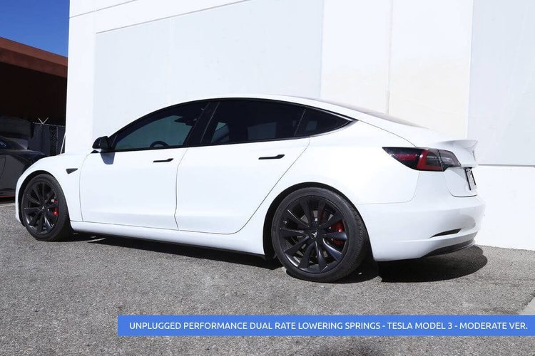 Sänknings-/komfort-fjädrar Unplugged Performance Model 3