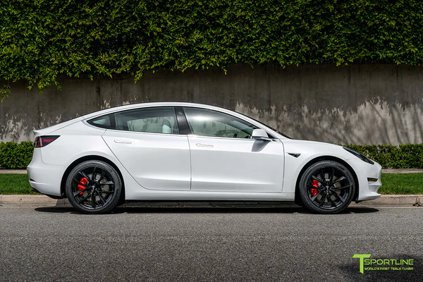 T-sportline - Model 3 19" Arachnid style (4 fälgar)