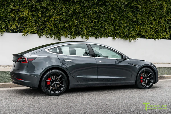 T-sportline - Model 3 19" Arachnid style (4 fälgar)