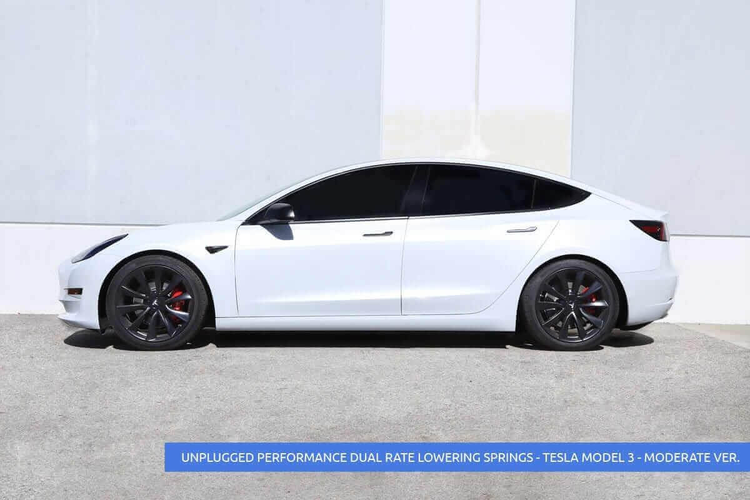 Sänknings-/komfort-fjädrar Unplugged Performance Model 3