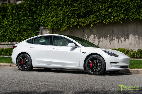 T-sportline - Model 3 19" Arachnid style (4 fälgar)