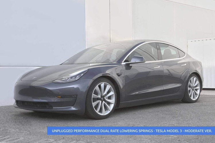 Sänknings-/komfort-fjädrar Unplugged Performance Model 3