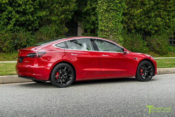 T-sportline - Model 3 19" Arachnid style (4 fälgar)