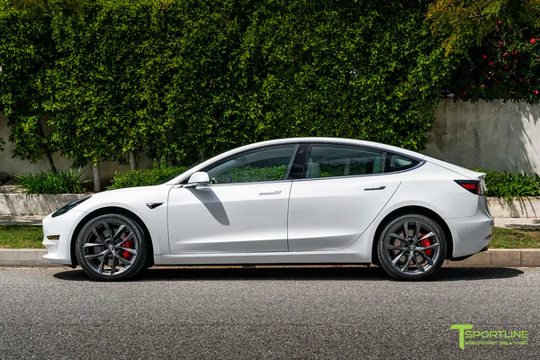 T-sportline - Model 3 19" Arachnid style (4 fälgar)