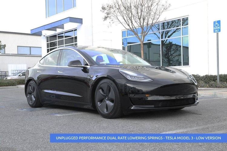 Sänknings-/komfort-fjädrar Unplugged Performance Model 3