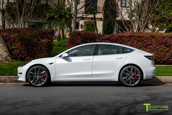 T-sportline - Model 3 20" Arachnid style (4 fälgar)