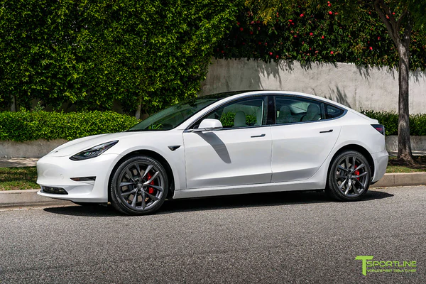 T-sportline - Model 3 19" Arachnid style (4 fälgar)