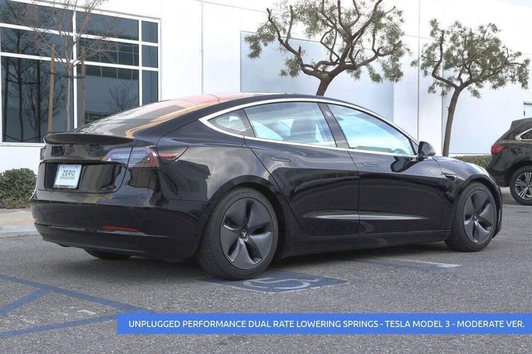 Sänknings-/komfort-fjädrar Unplugged Performance Model 3