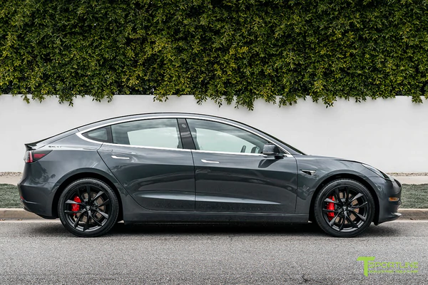 T-sportline - Model 3 19" Arachnid style (4 fälgar)