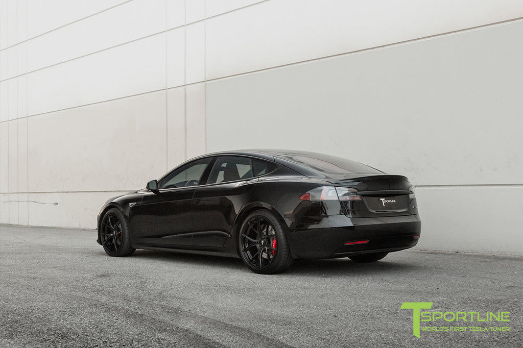 T-sportline - Model S Carbon Fiber Sport Trunk Decklid Spoiler