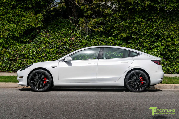 T-sportline - Model 3 20" Arachnid style (4 fälgar)