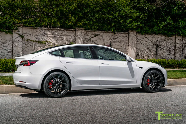 T-sportline - Model 3 19" Arachnid style (4 fälgar)